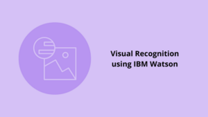 IBM Watson Visual Recognition