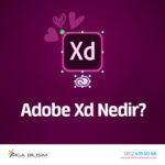 Adobe Xd